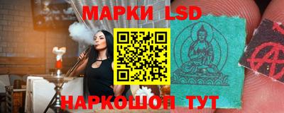 соль ск Новозыбков