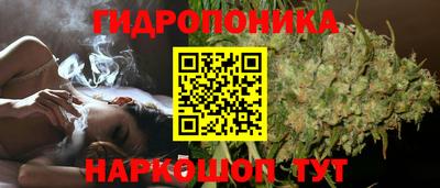 соль ск Новозыбков