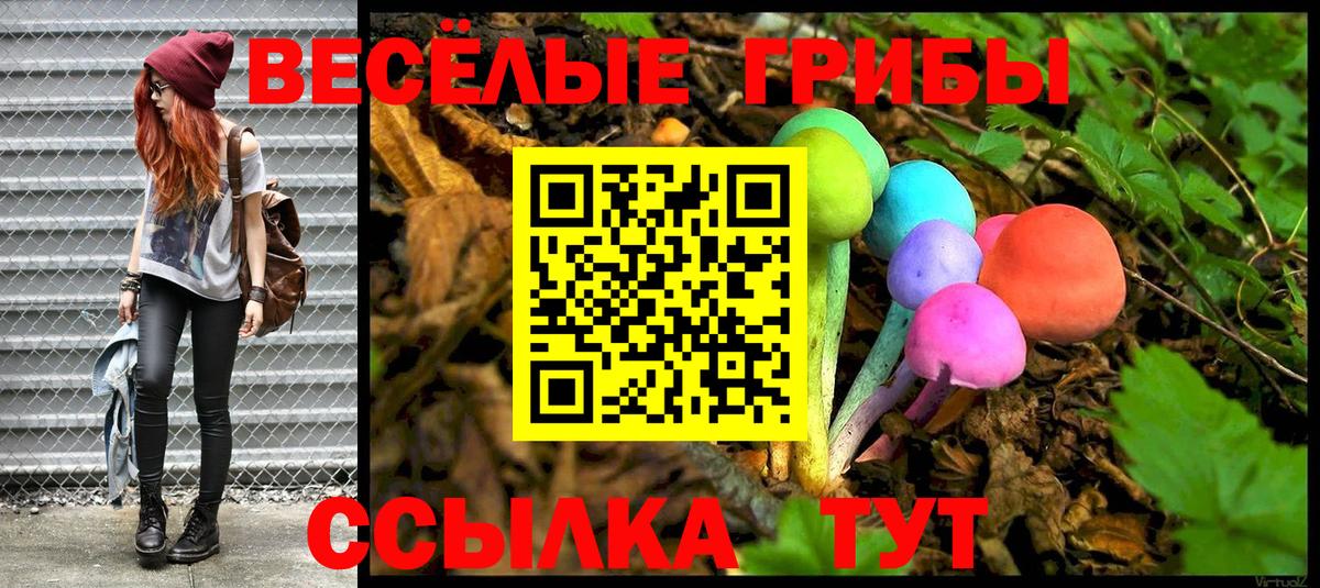 Галлюциногенные грибы мухоморы  купить наркоту  Рассказово  Вход с VPN 