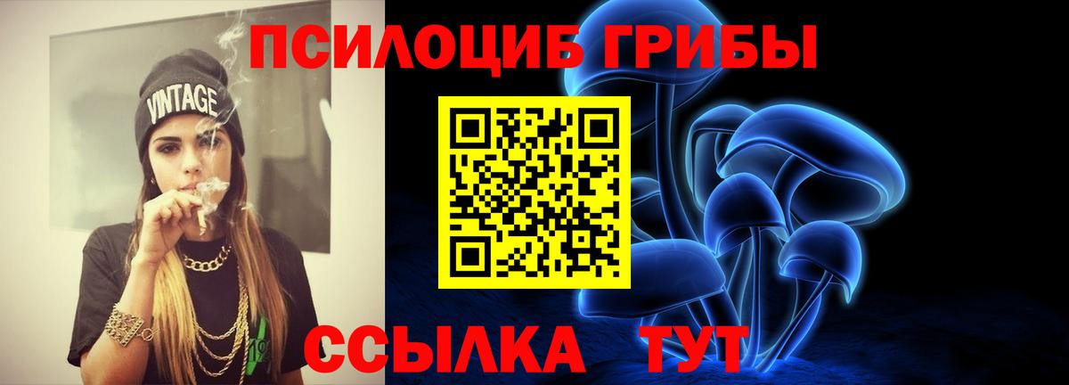 Галлюциногенные грибы мицелий Рассказово
